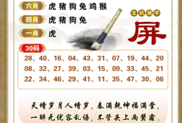 2025107期香港彩九肖30码中特