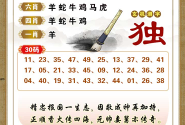 2025109期香港彩九肖30码中特