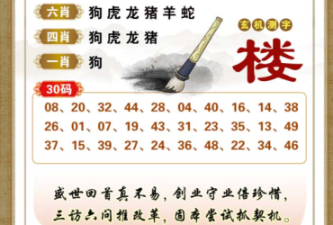 2025110期香港彩九肖30码中特